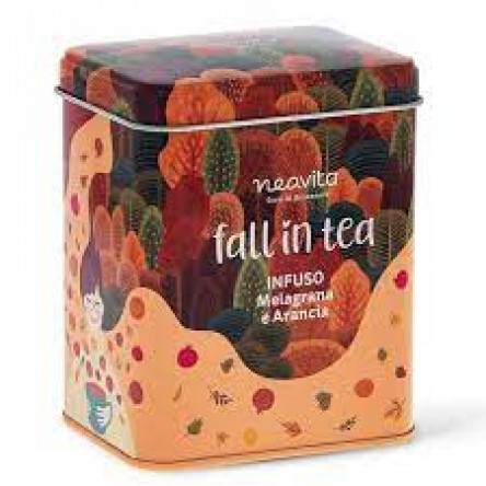 NEAVITA Cubo Latta Fall in Tea, Infuso Melagrana e Arancia, 10 filtri 10 x 3,5g