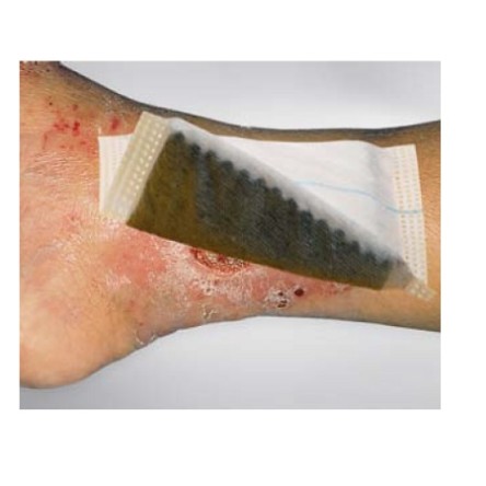 VLIWAKTIV AG TAMPONE 10X10CM