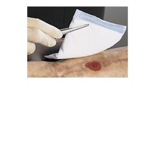 VLIWAZELL N/STER 10X20CM 25PZ