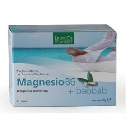 MAGNESIO B6+BAOBAB 60CPS SERVIC