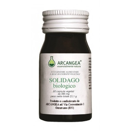 SOLIDAGO BIO 60CPS 385MG ARCANGE