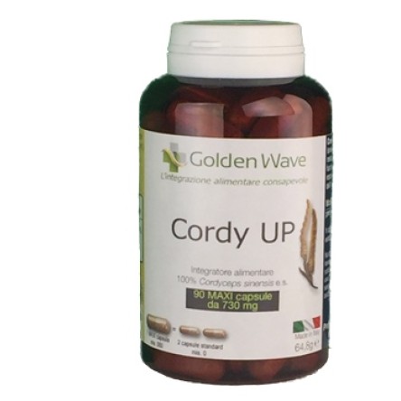 CORDY UP 90MAXI CPS CORDY UP 90MAXI CPS