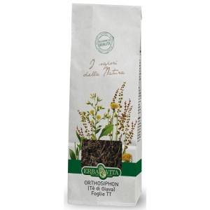 ORTOSIPHON TT 100G EBV