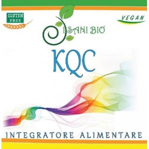 KQC 100CPS