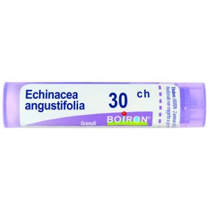 BO.ECHINACEA ANG.30CH TUBO