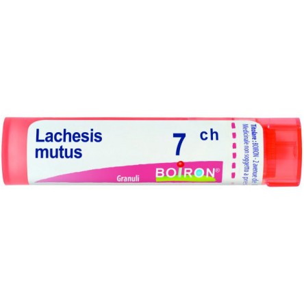 BO.LACHESIS 7CH TUBO