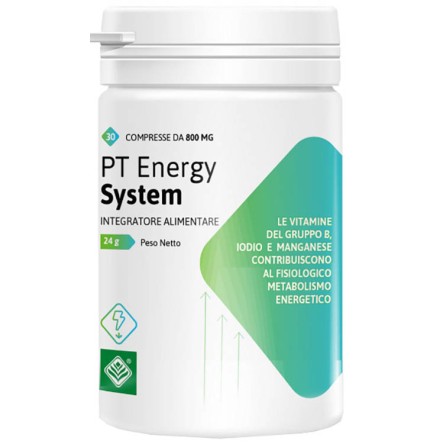 PT ENERGY SYSTEM 30CPR 24G PT ENERGY SYSTEM 30CPR 24G