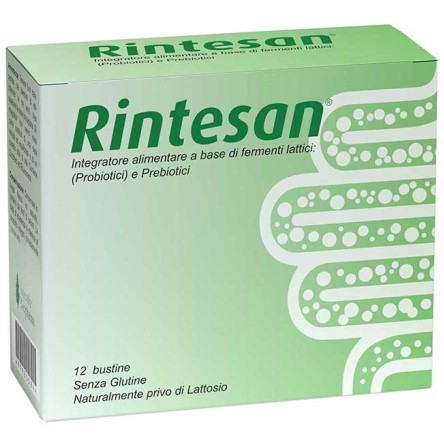 RINTESAN 12BUST RINTESAN 12BUST