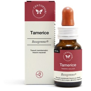 TAMERICE BASEGEMMO 30ML