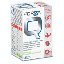 FORZA Q 14BUST