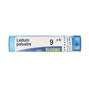 LEDUM PALUSTRE 9CH GR BO
