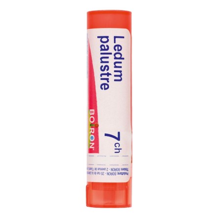 LEDUM PALUSTRE 7CH GR BO LEDUM PALUSTRE 7CH GR BO