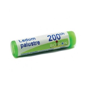 LEDUM PALUSTRE *BO* 200CH GL