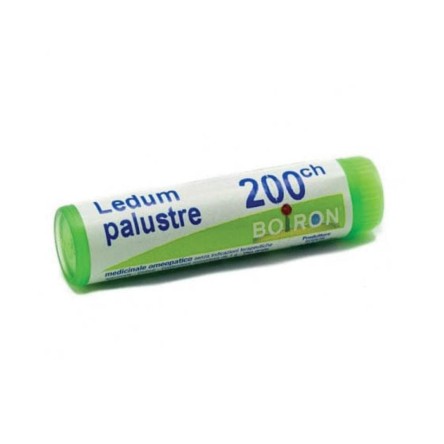 LEDUM PALUSTRE *BO* 200CH GL