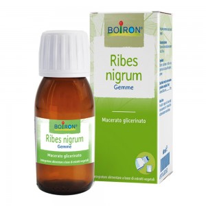 BO.RIBES NIGRUM 7CH TUBO