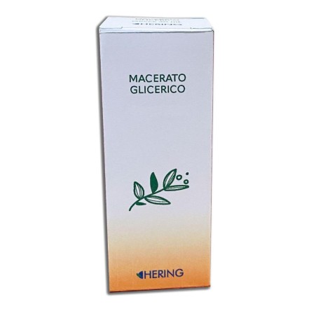 ACER CAMPESTRE GEMME 60ML MG
