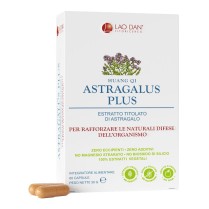 ASTRAGALUS PLUS BLISTER 60CPR