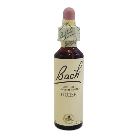 BACH CENTER ESS GORSE 20ML