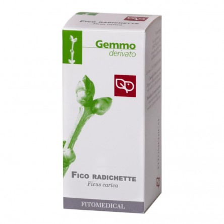 FICO RADICHETTE GTT 50ML MG FTM