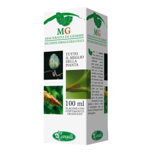 RIBES 100ML MG