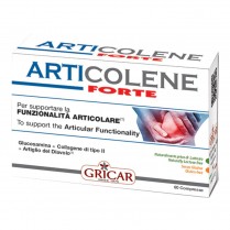 ARTICOLENE FT INTEGRAT 60TAV