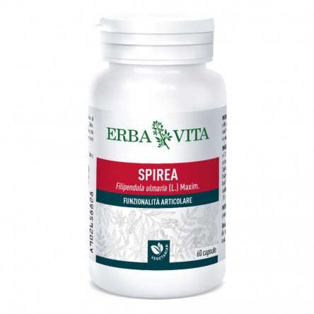 SPIREA ULMARIA 60CPS 400MG