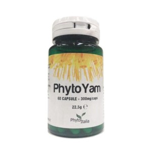 PHYTOYAM 60CPS 22,5G PHYTOIT