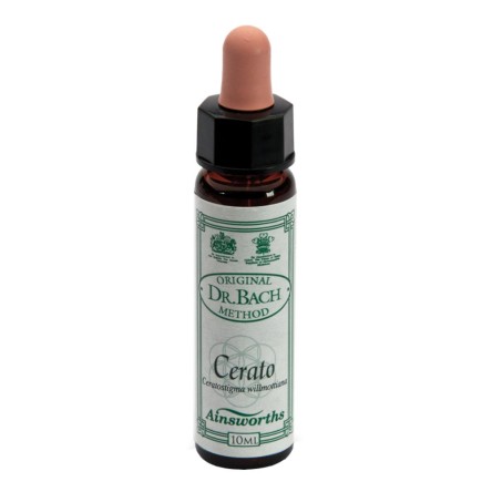 AINSWORTHS CERATO 10ML