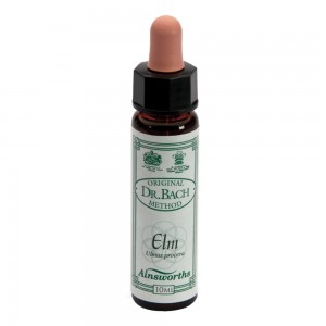 AINSWORTHS ELM 10ML