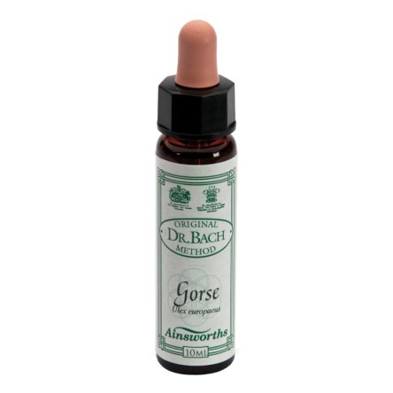 AINSWORTHS GORSE 10ML AINSWORTHS GORSE 10ML