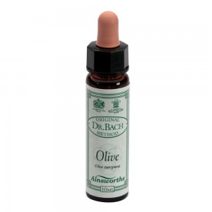 AINSWORTHS OLIVE 10ML