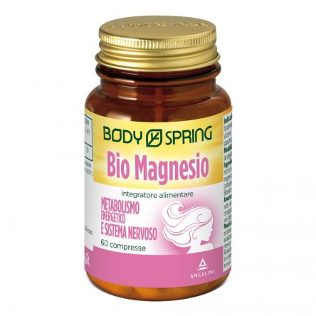 BS BIO MAGNESIO 60CPR 1100MG