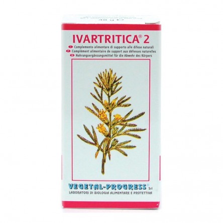 IVARTRITICA 2 80TAV