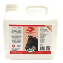 OLIO VIVO CAVALLI 3L