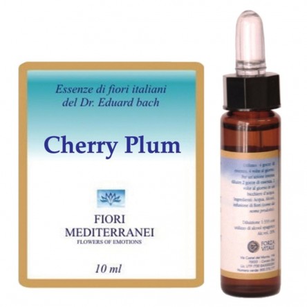 CHERRY PLUM FIORI MEDITER GTT