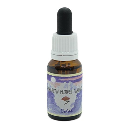 CEDAR 15ML