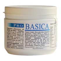 PRO BASICA POLV 200GR