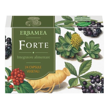 FORTE 24CPS