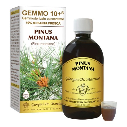 PINO MONT 500ML ANALCO GEM 10+