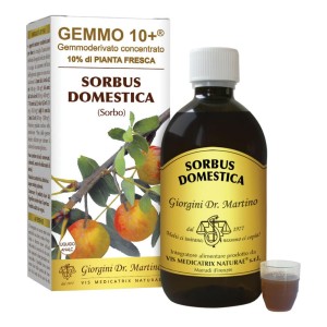 SORBO DOM GEMMO 10+ S/ALC 500MG