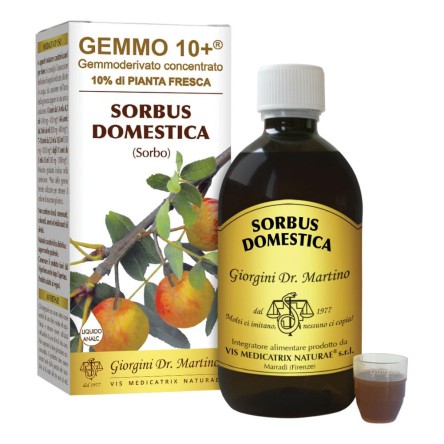 SORBO DOM GEMMO 10+ S/ALC 500MG
