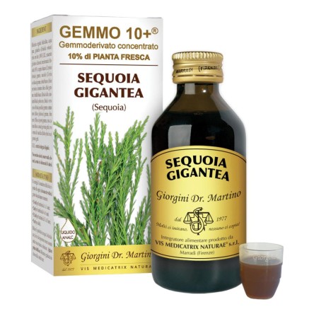 SEQUOIA 100ML ANALCO GEMMO 10+