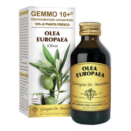 OLIVO 100ML ANALCO GEMMO 10+