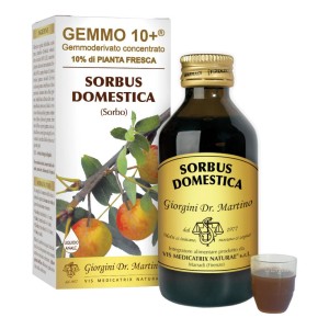 SORBO 100ML ANALCO GEMMO 10+