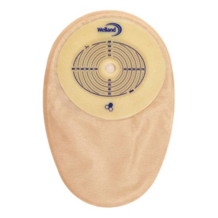 AURUM COLO OP PRET 32M 30P XMHCL