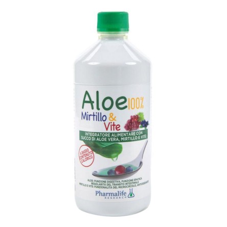 ALOE MIRTILLO E VITE 1L