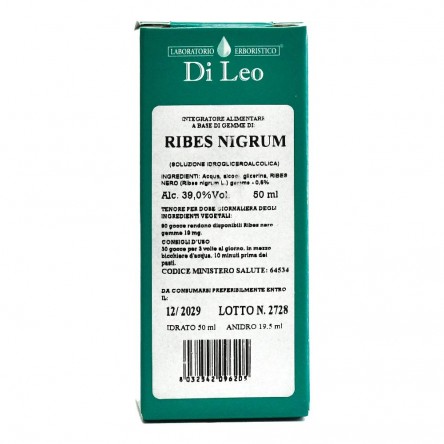 RIBES NIGRUM GEMME 50ML