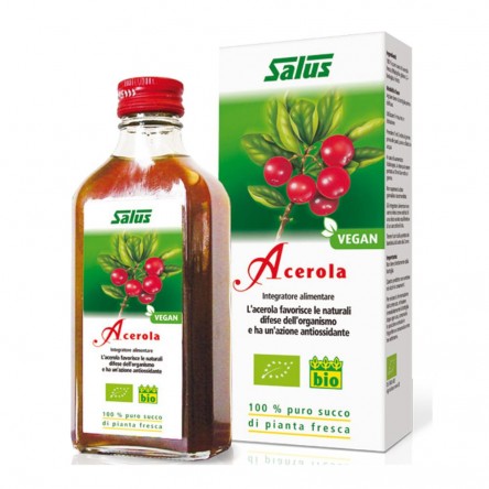 SUCCO ACEROLA 200ML