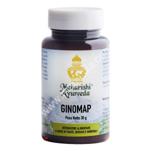 GINOMAP 60TAV MAP