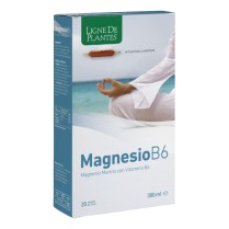 MAGNESIO B6 20AB 15ML